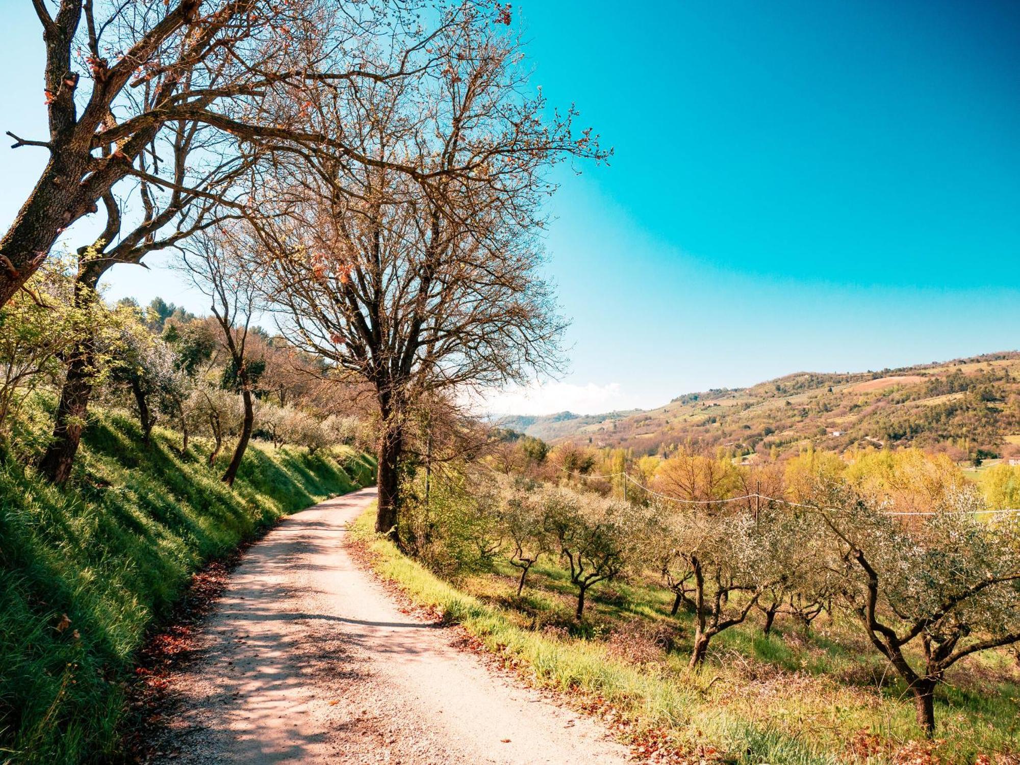 Ostello Bello Assisi بيفانيا المظهر الخارجي الصورة